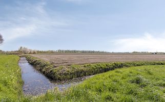 Boterbloem 3, HEERJANSDAM