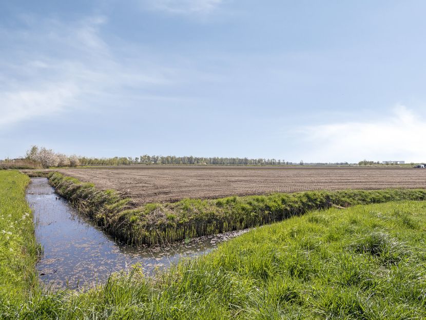 Boterbloem 3, HEERJANSDAM