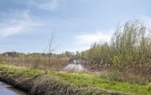Boterbloem 3, HEERJANSDAM