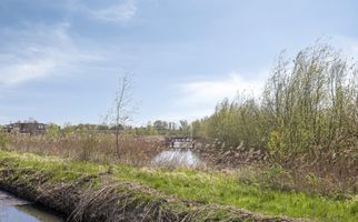 Boterbloem 3, HEERJANSDAM