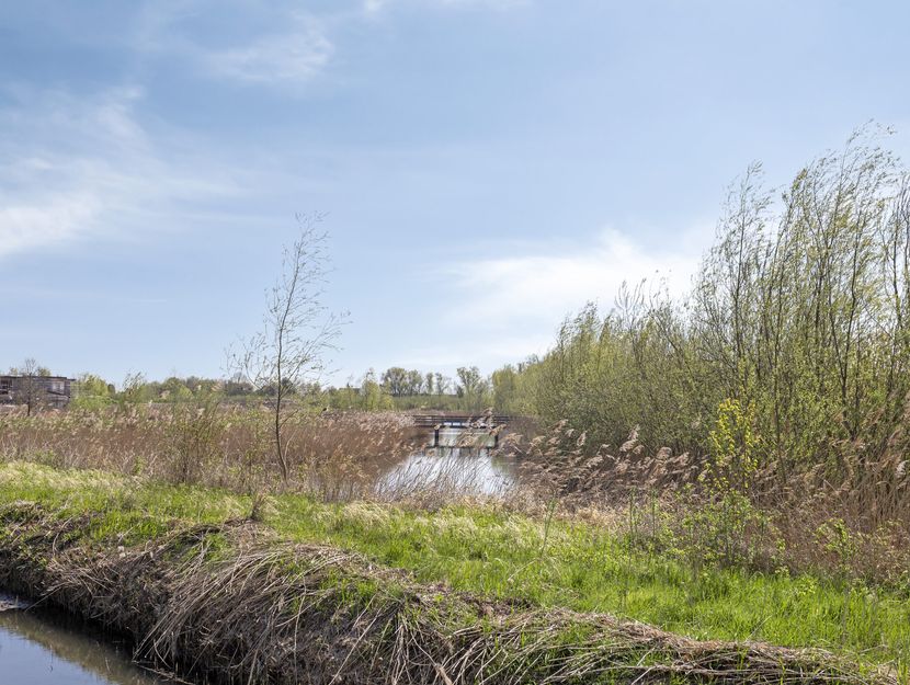 Boterbloem 3, HEERJANSDAM