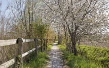 Boterbloem 3, HEERJANSDAM