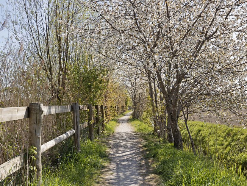 Boterbloem 3, HEERJANSDAM
