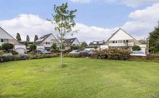 Suite 35, ZWIJNDRECHT