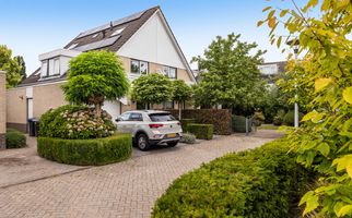 Suite 35, ZWIJNDRECHT