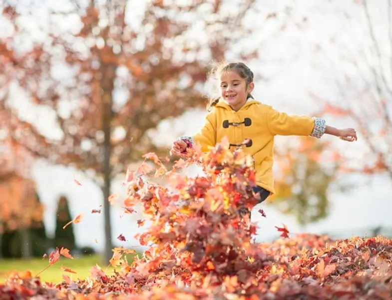 ‘Huizen significant goedkoper in de herfst’