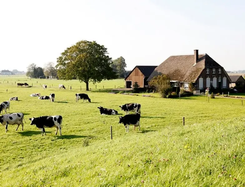 Kabinet investeert met garantieregeling in toekomst jonge boeren