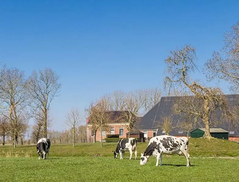 Wat zijn de laatste actualiteiten van de stikstofregeling?