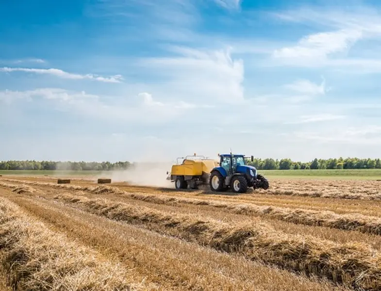 Agrarische grondprijs daalt met 6% in tweede kwartaal