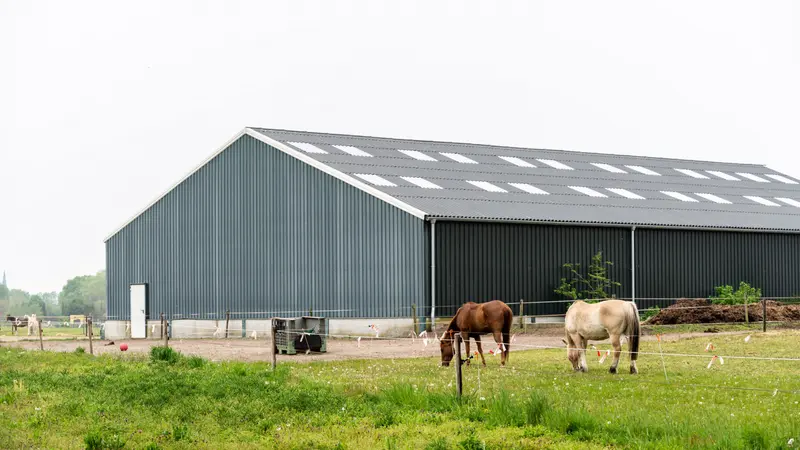 Nieuwe pachtwet is waardevolle vernieuwing maar heeft aanpassingen nodig