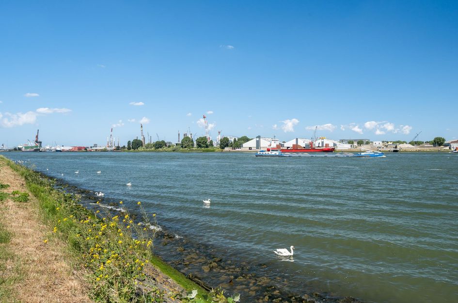 Pastoriedijk 230