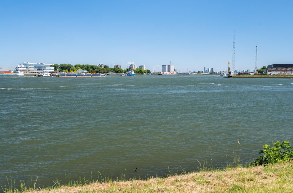Pastoriedijk 230