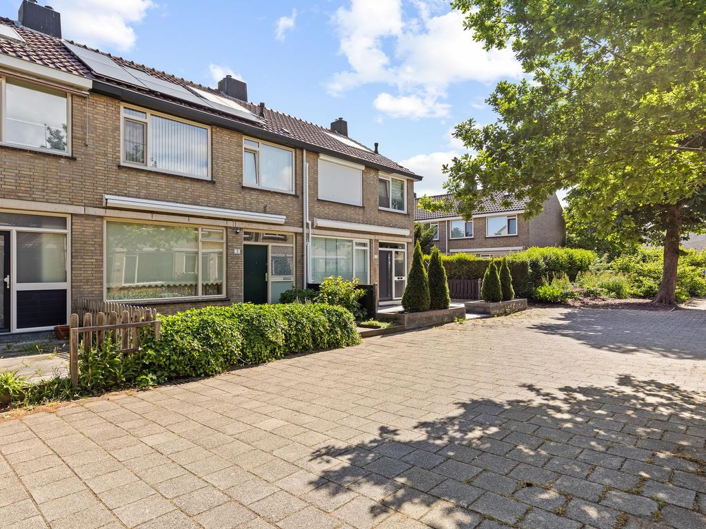 Laafnet 3, Hoogvliet