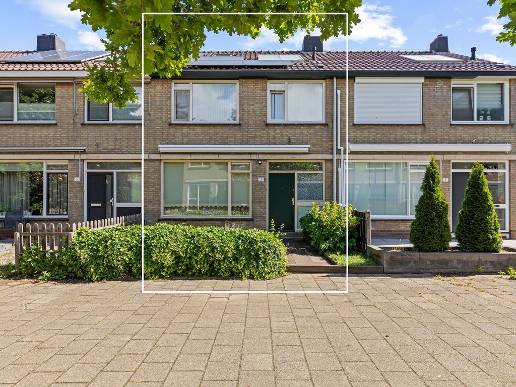 Laafnet 3, Hoogvliet
