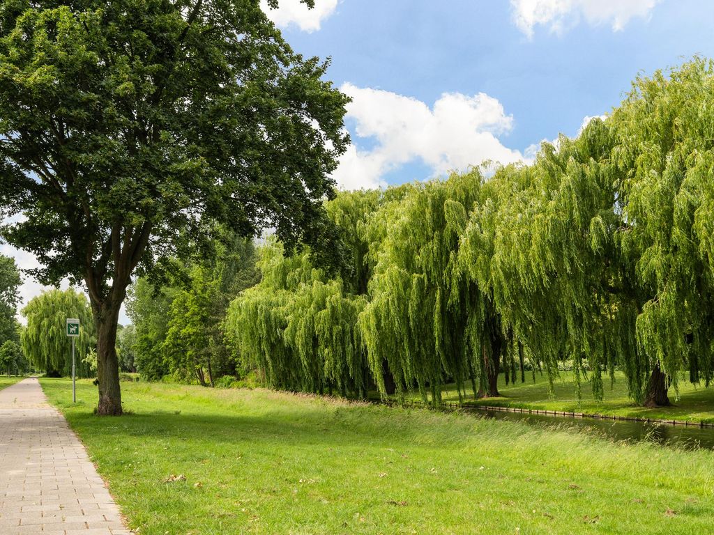 Oudelandseweg 214, Hoogvliet
