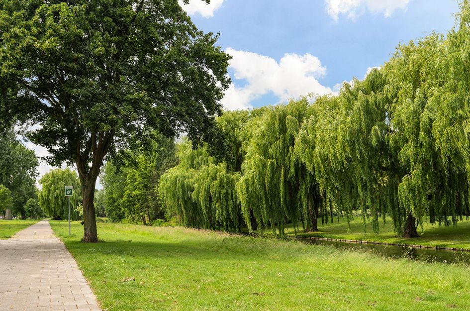 Oudelandseweg 214