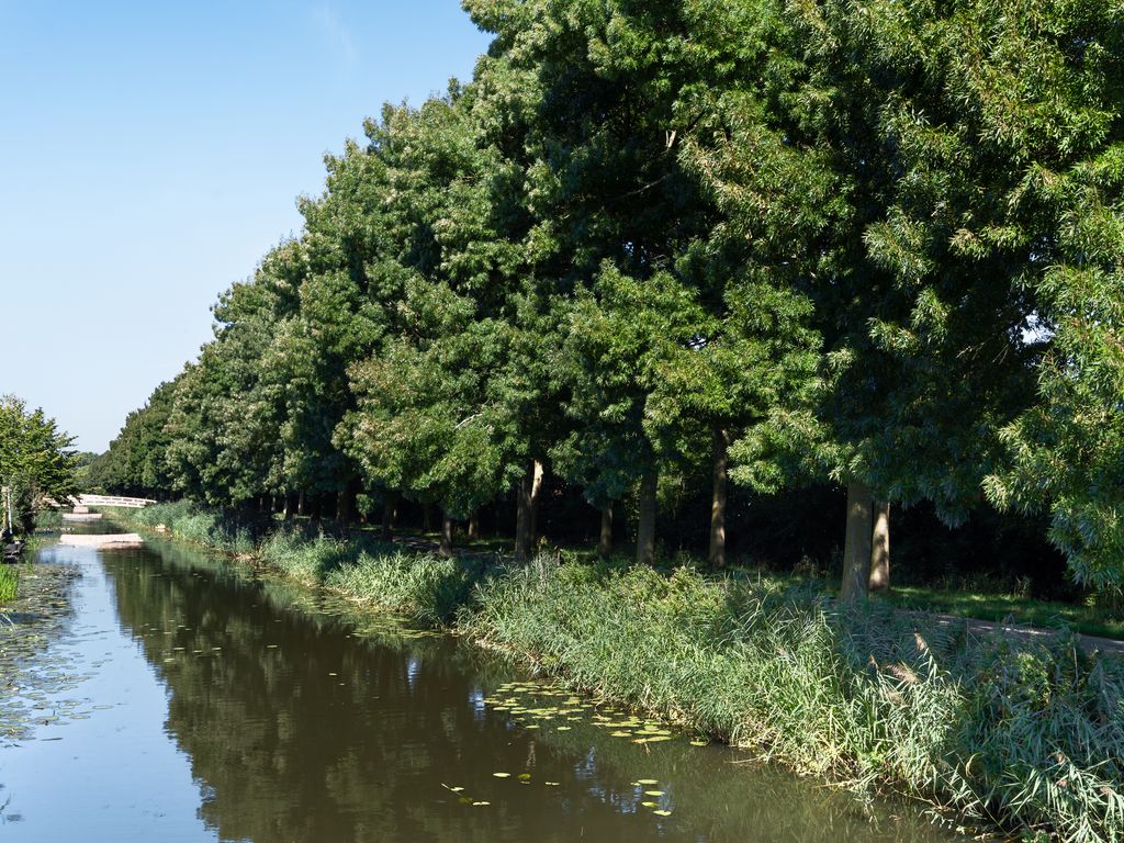 Heersdijk 62, Hoogvliet