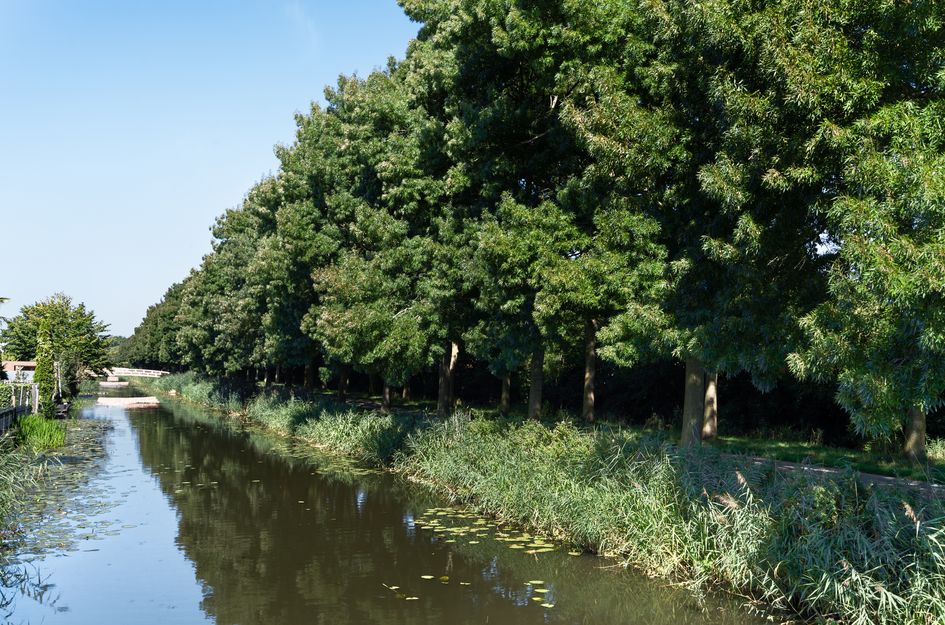 Heersdijk 62