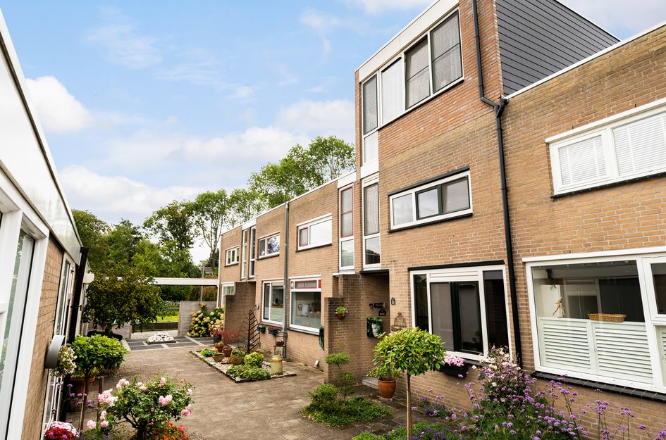 Vleugel 12