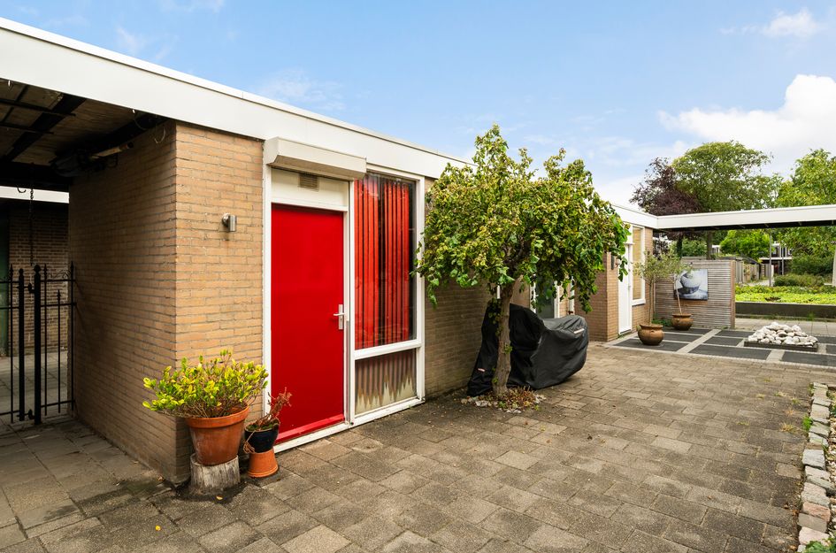 Vleugel 12