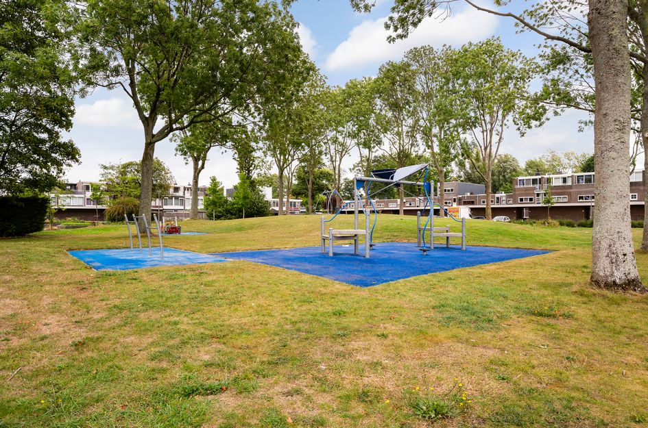 Vleugel 12