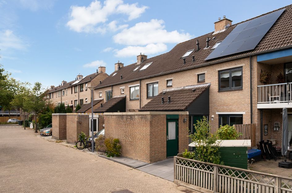 Lijster 21