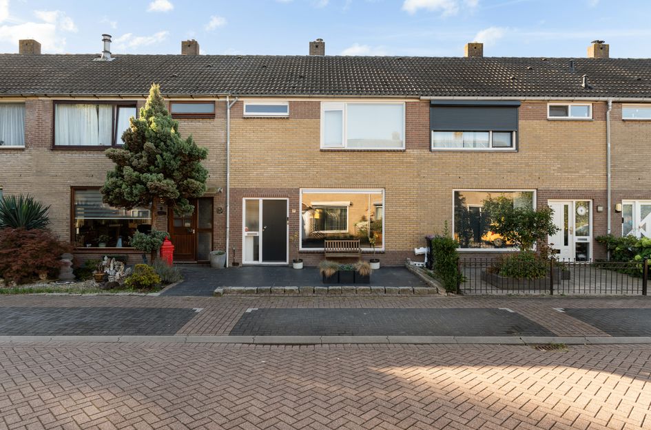 Moerbeistraat 7