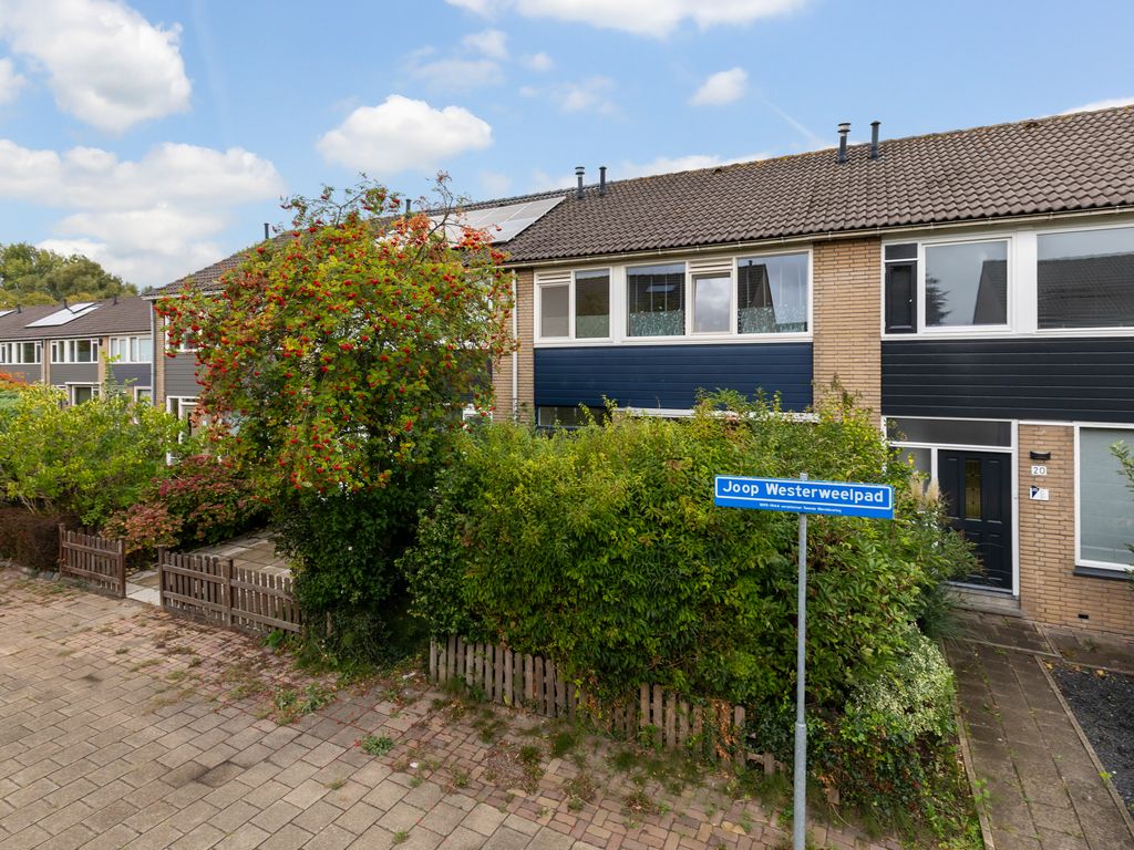 Joop Westerweelpad 18, Hoogvliet