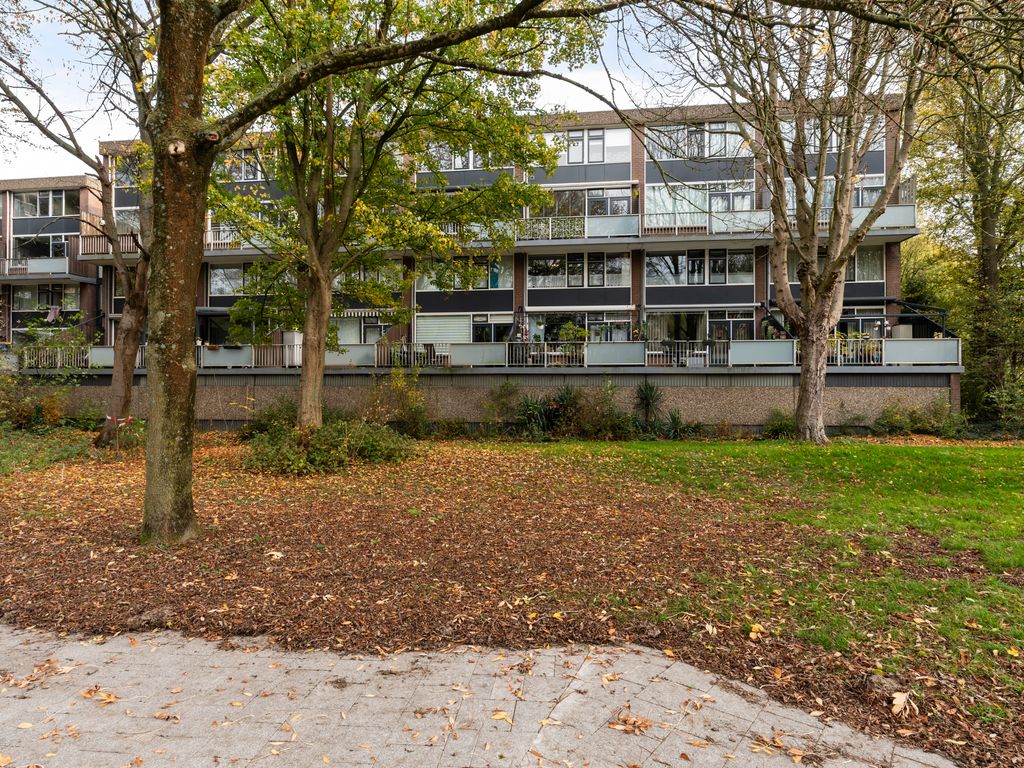 Kardoenhof 57, Hoogvliet