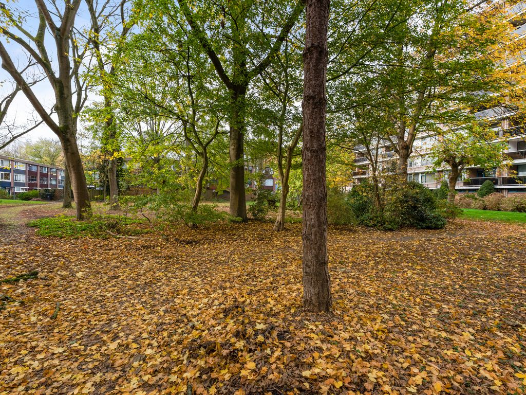 Kardoenhof 57, Hoogvliet