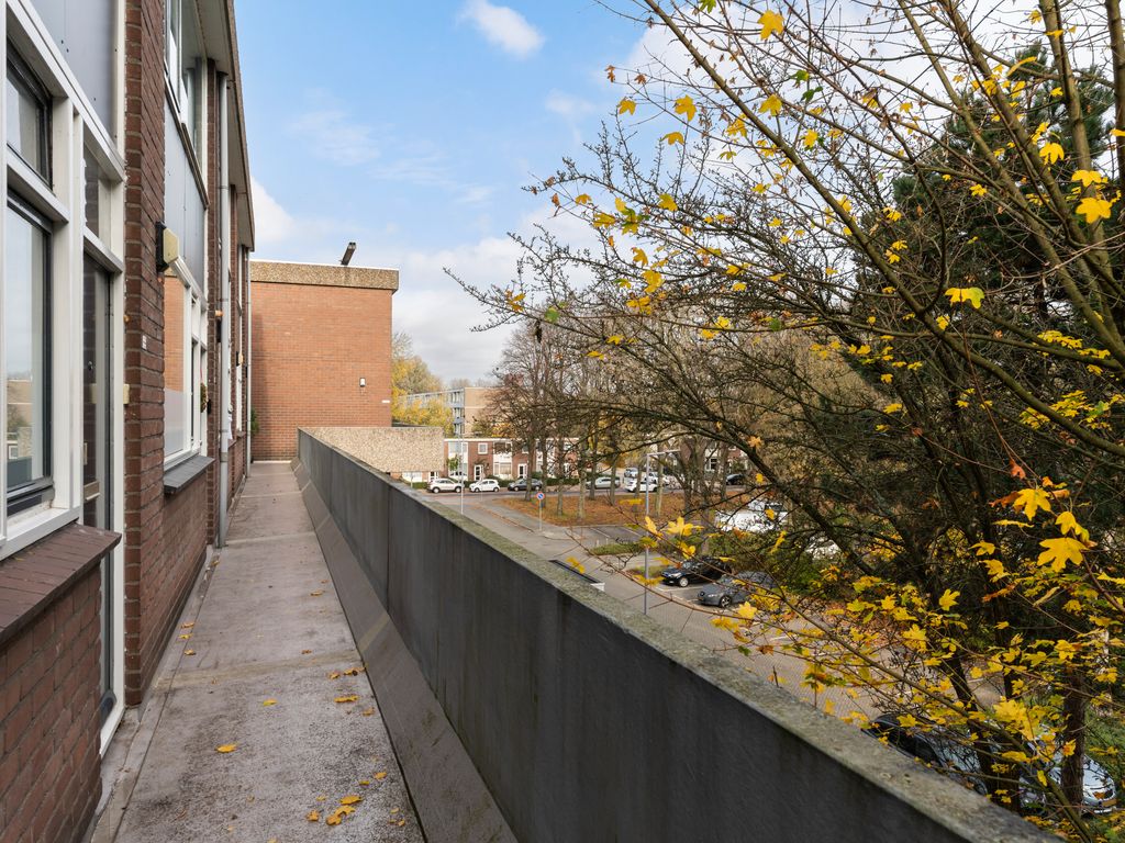 Kardoenhof 57, Hoogvliet