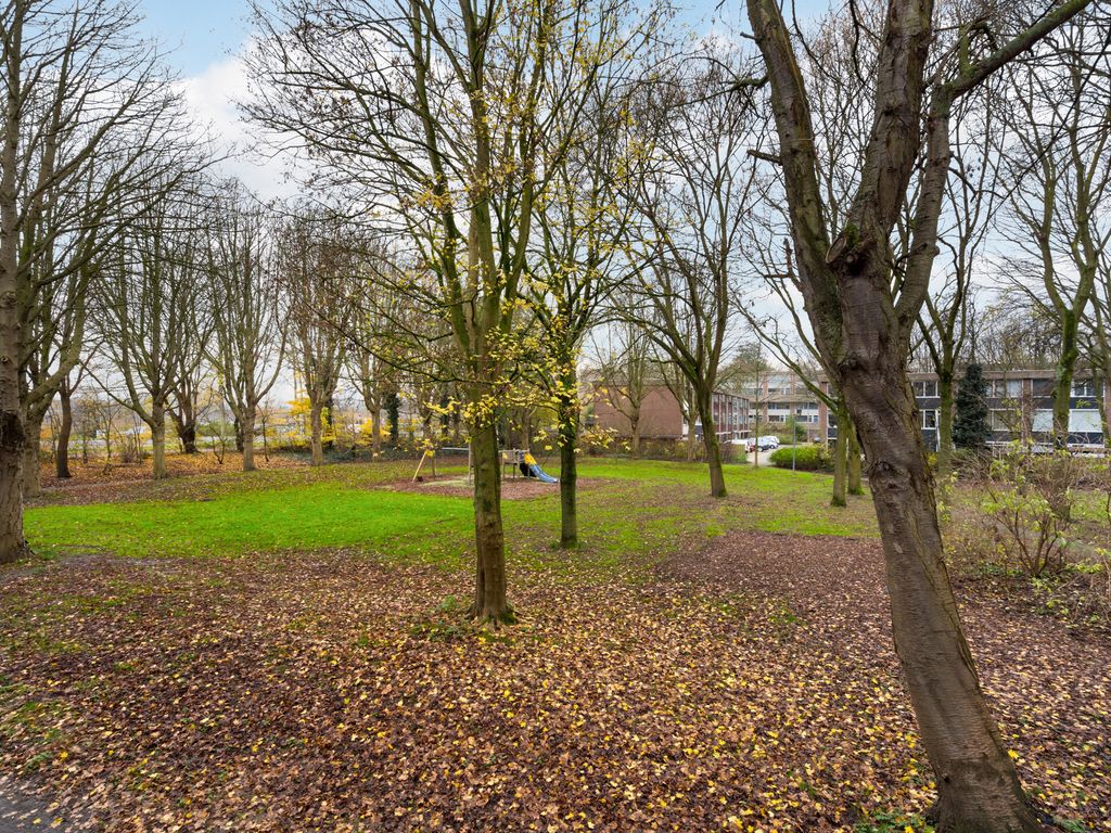 Kardoenhof 57, Hoogvliet