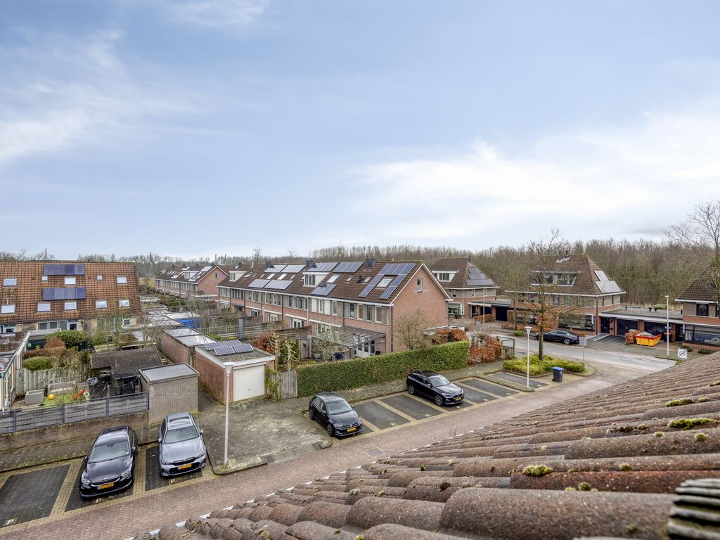 Insula 11, Poortugaal