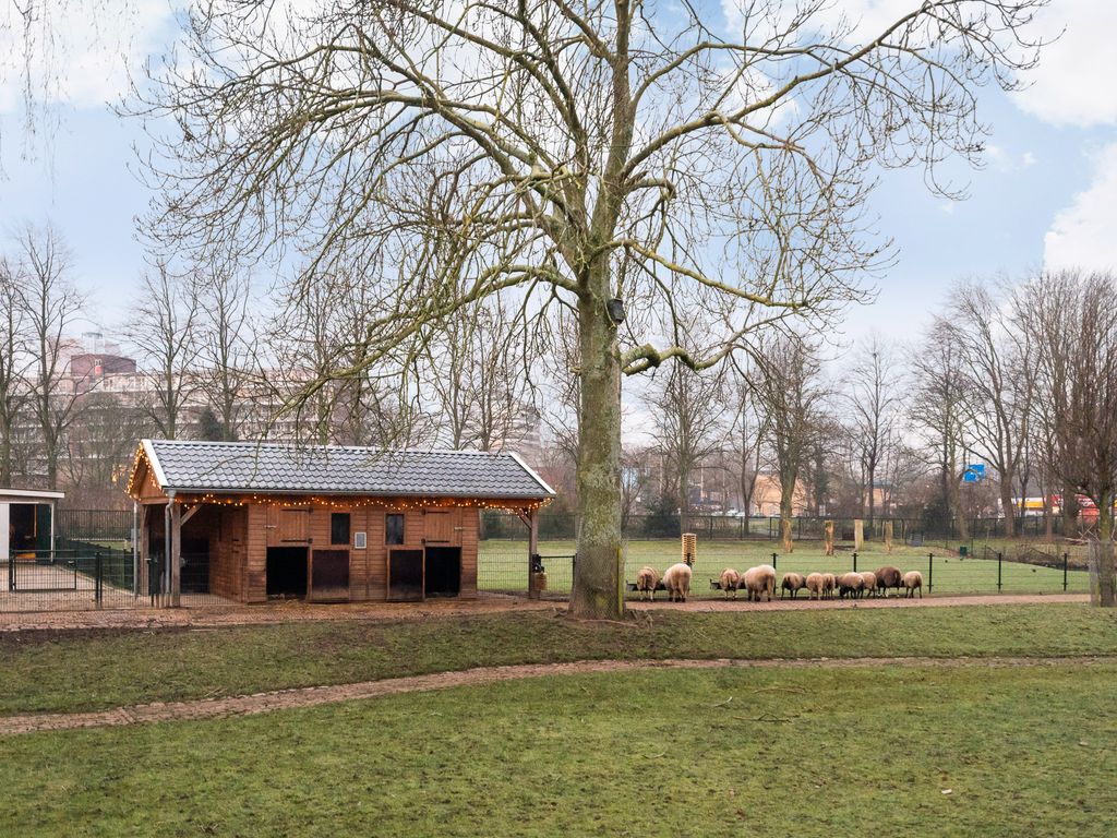 Othelloweg 295, Hoogvliet