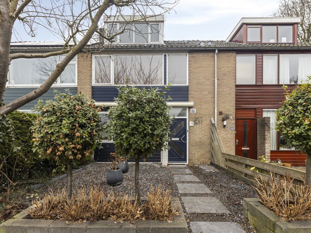 Zalmsteek 34, Hoogvliet