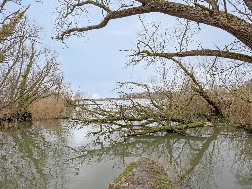 Zalmsteek 34, Hoogvliet