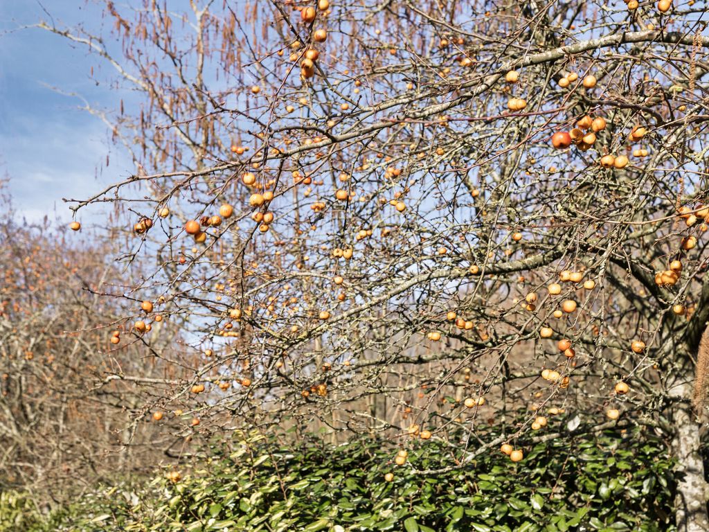 Oostdorpseweg 47, Poortugaal