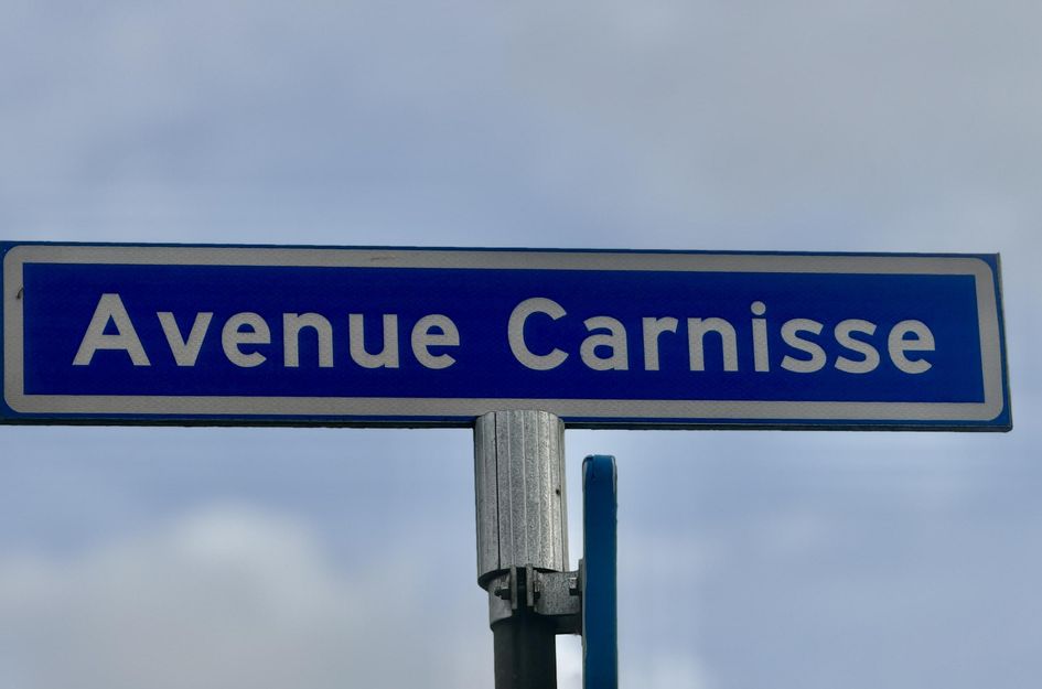 Avenue Carnisse 98