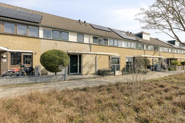 Molenaar 37