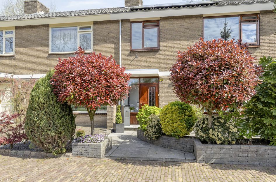 Arubaplein 28