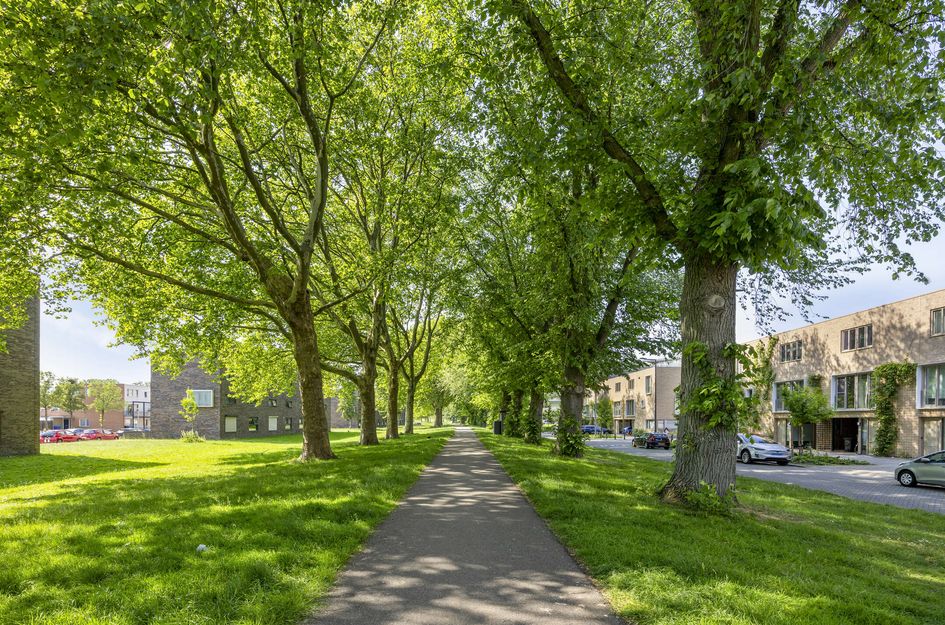 Haifaweg 67