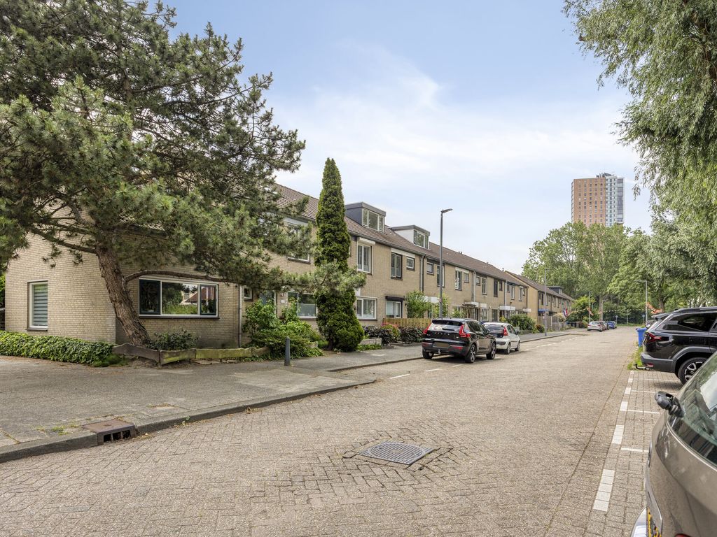 Middenbaan-Zuid 556, Hoogvliet