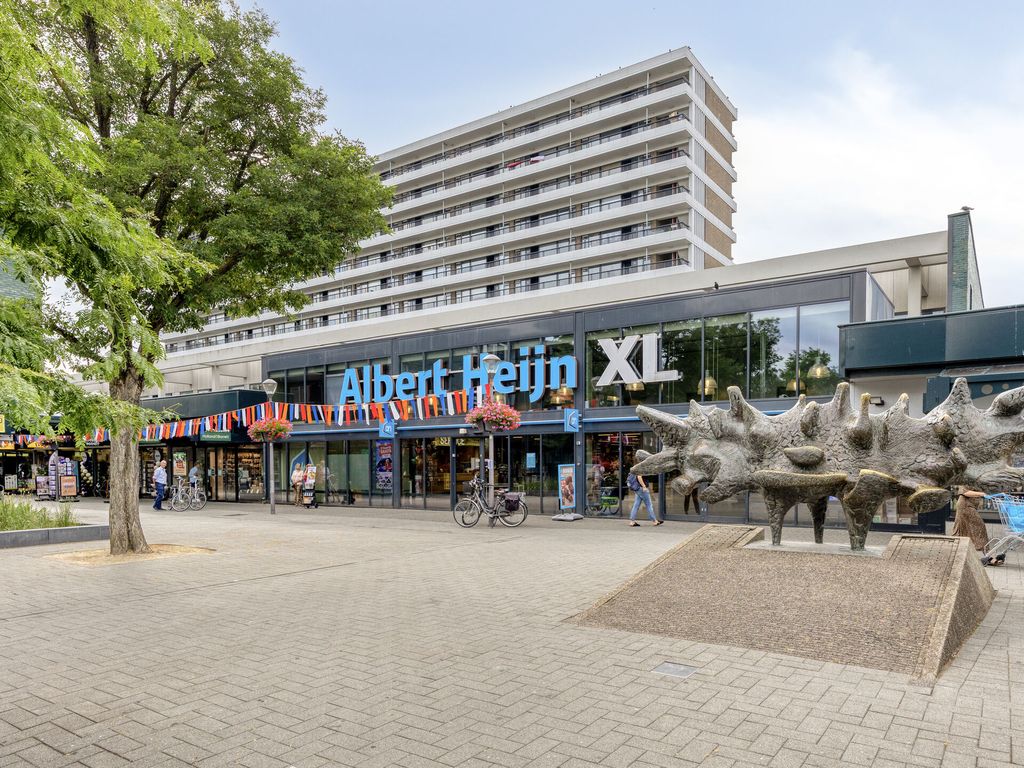 Juliettepad 11, Hoogvliet