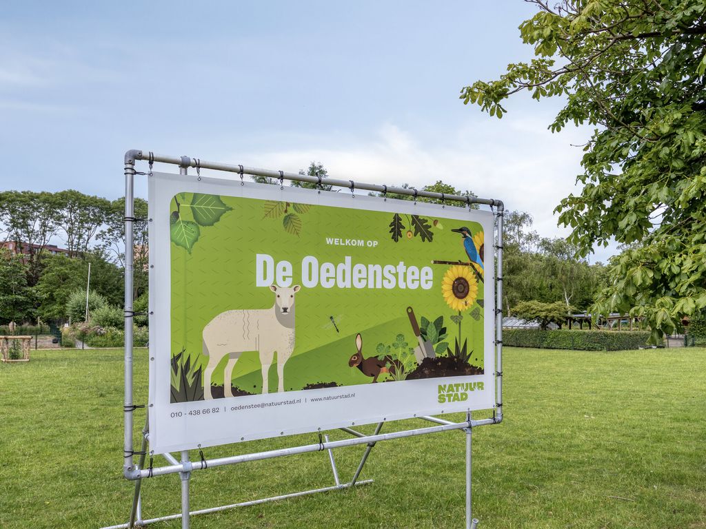 Juliettepad 11, Hoogvliet