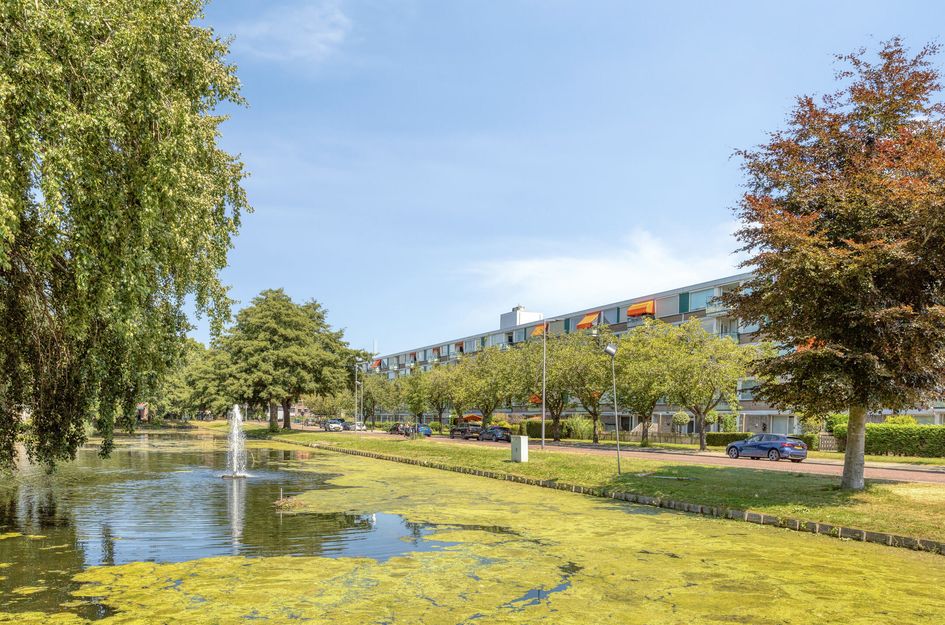 Rembrandtsingel 37