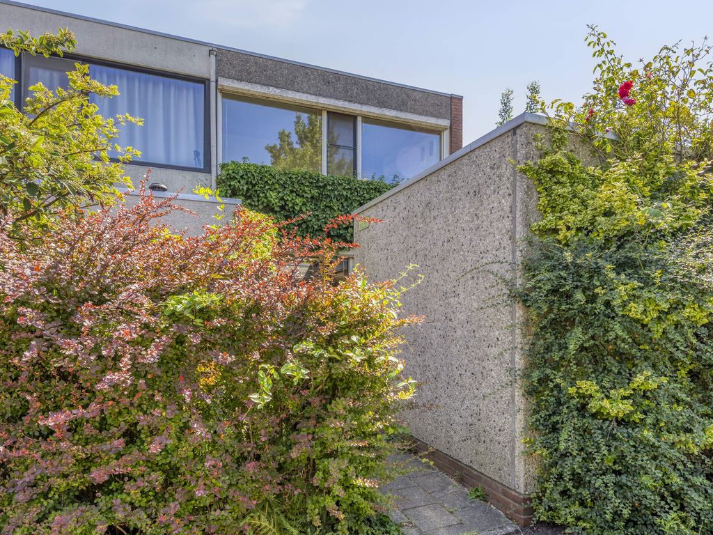 Zilverdistel 24, Rotterdam