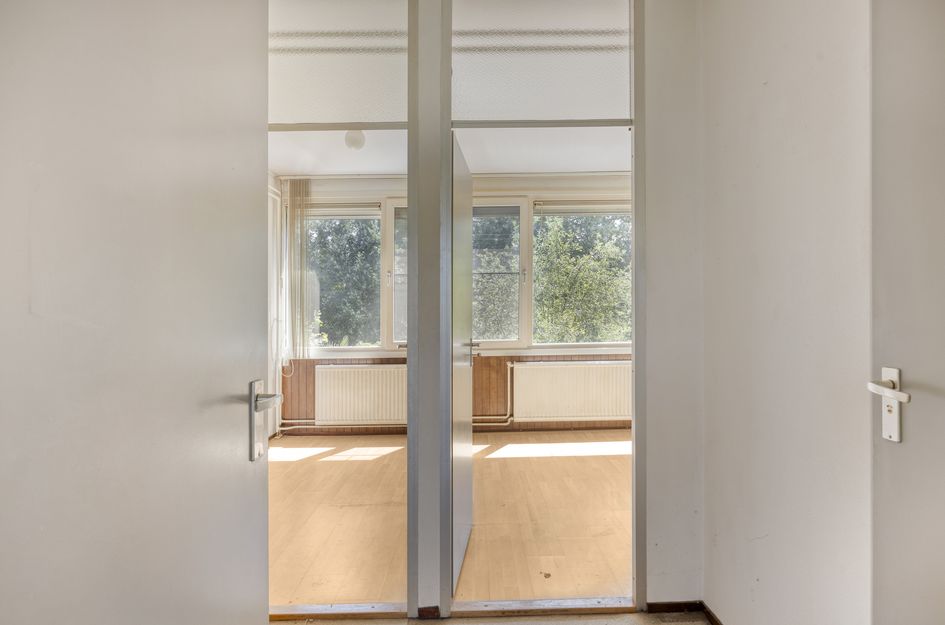 Zilverdistel 24