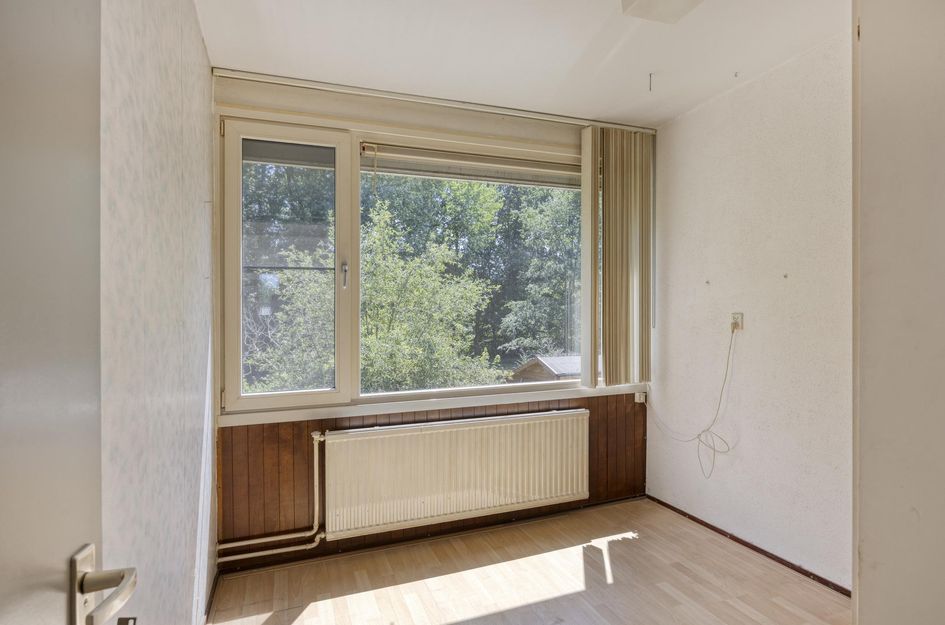 Zilverdistel 24