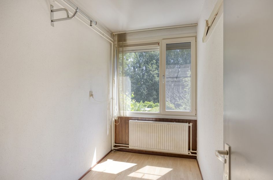 Zilverdistel 24