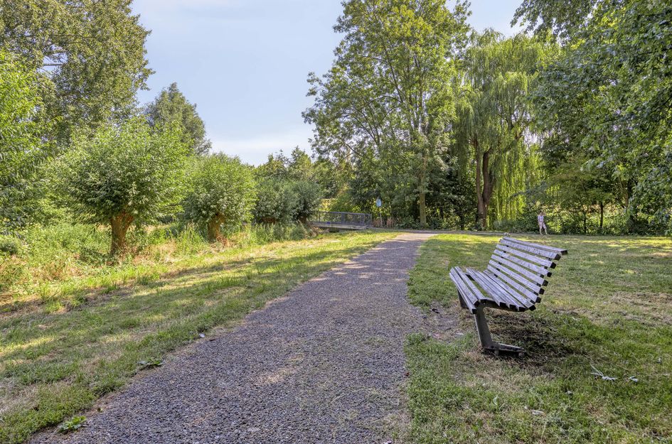 Zilverdistel 24